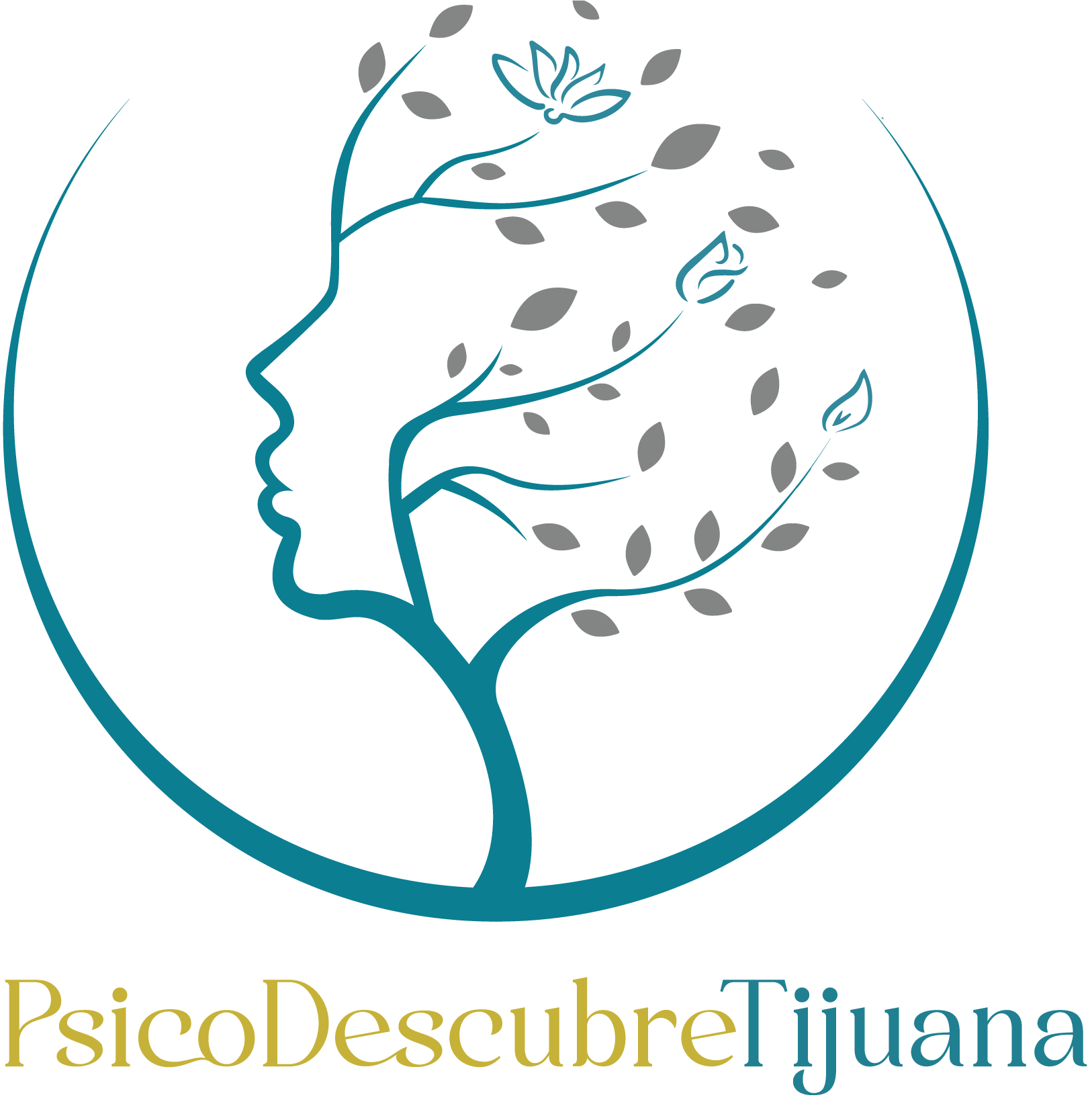 PsicoDescubre Tijuana